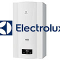 Запасные детали ВПГ "Electrolux" Pro Inverter